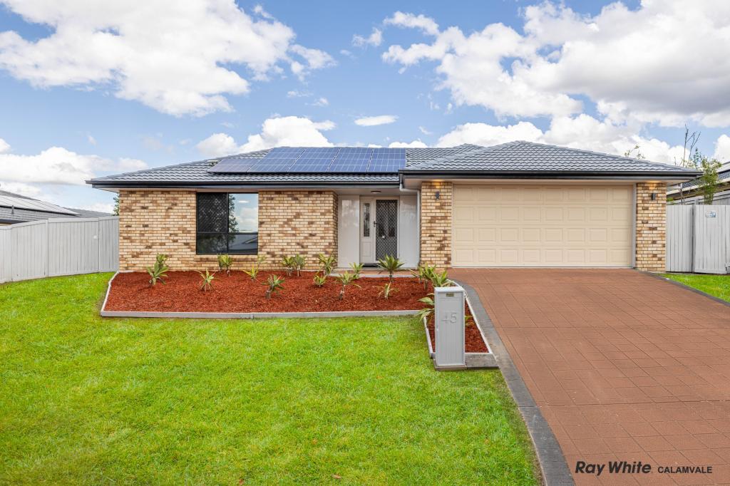 45 Columbus Cct, Drewvale, QLD 4116