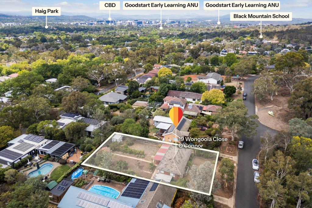 19 Wongoola Cl, O'Connor, ACT 2602