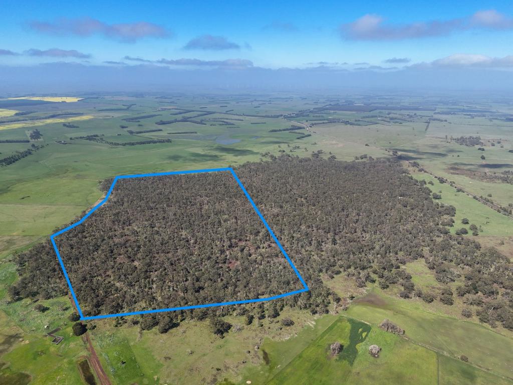 - Delaney'S Rd, Buckley Swamp, VIC 3301