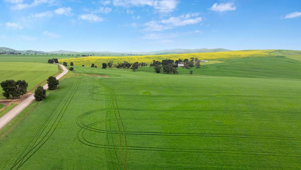 'WILSON LAND' PIPELINE RD, GULNARE, SA 5471