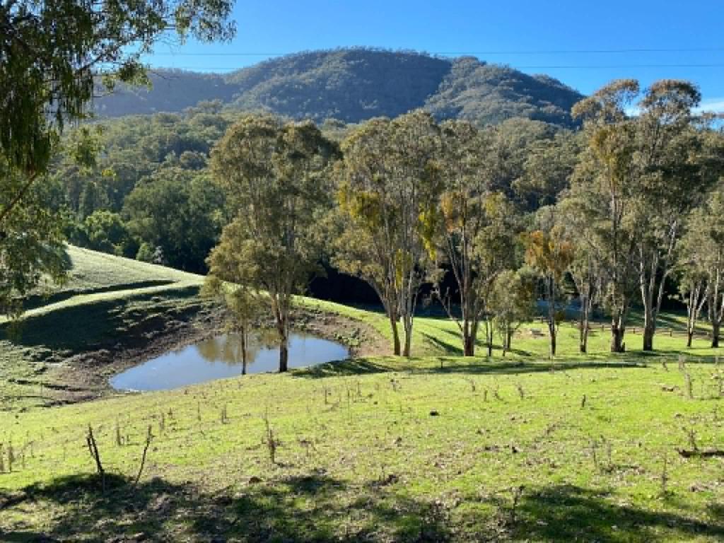3/71 Wilson Row, Murrurundi, NSW 2338