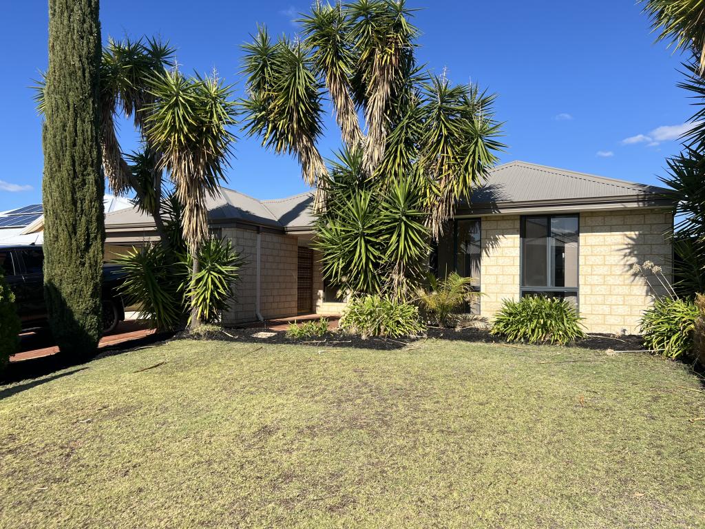 3 Songlark Ct, Baldivis, WA 6171