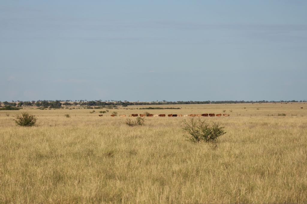 59203 Landsborough Hwy, Longreach, QLD 4730