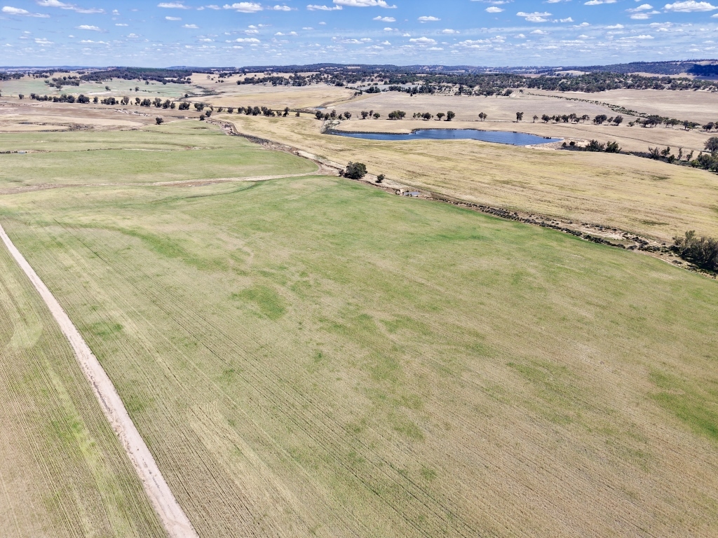 Butchers Rd, Dale, WA 6304