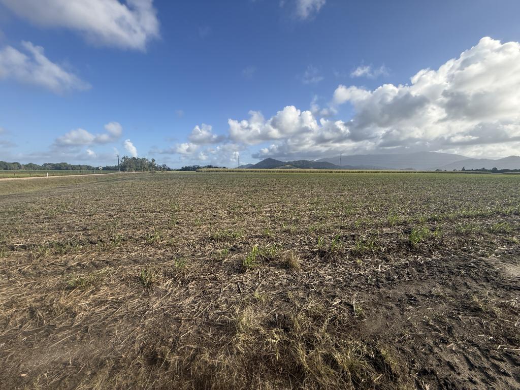 Contact Agent For Address, Silkwood, QLD 4856