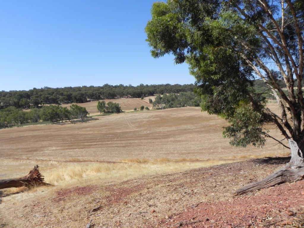 3145 Bindoon-Dewars Pool Rd, Bindoon, WA 6502