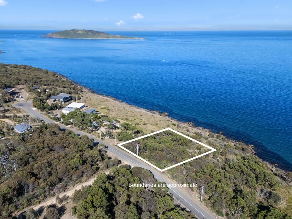 596 White Beach Rd, White Beach, TAS 7184