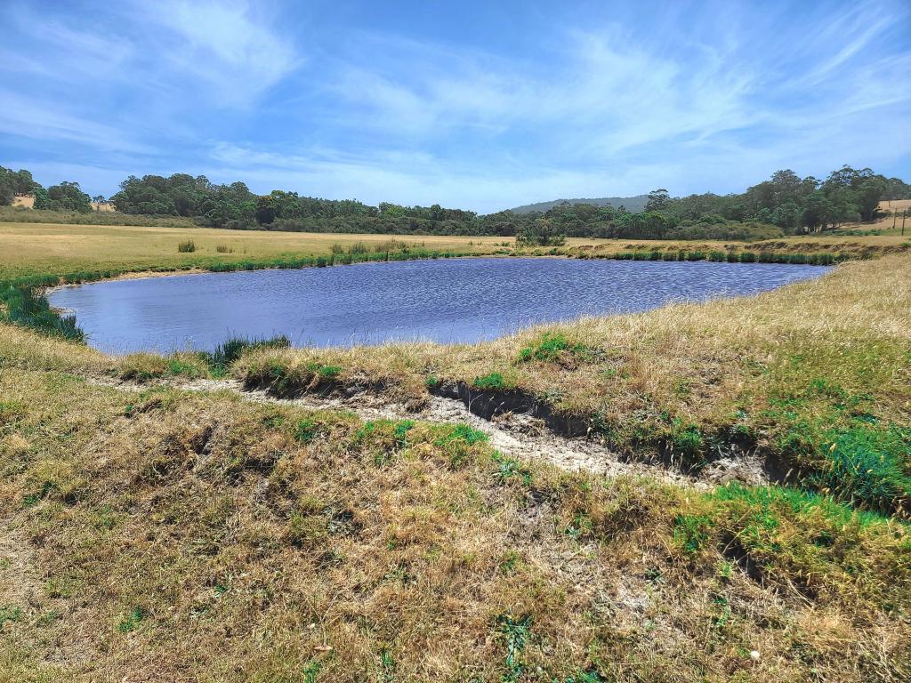 LOT 21 HAZELVALE RD, TINGLEDALE, WA 6333