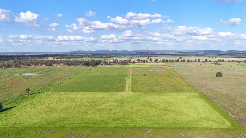 1238 TOMINGLEY RD, NARROMINE, NSW 2821