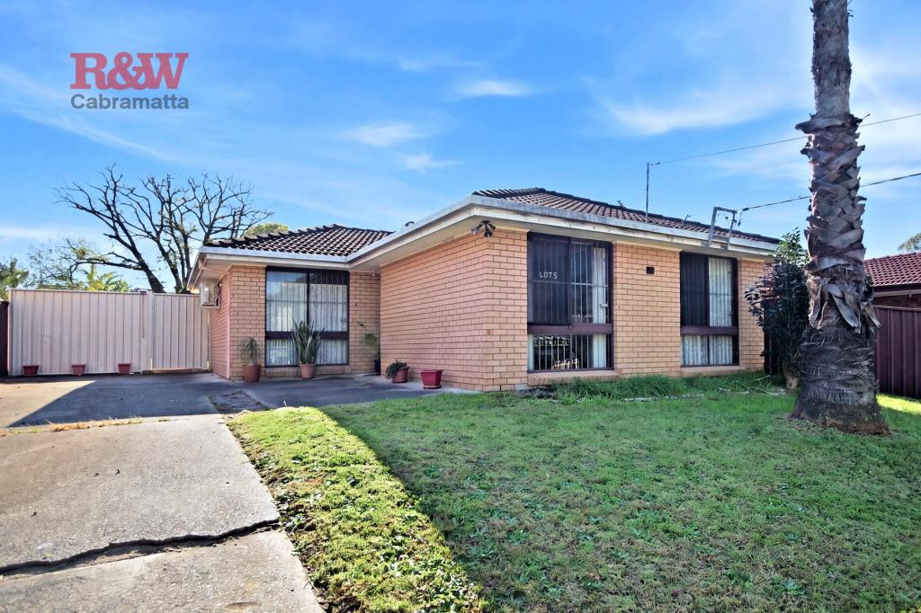 20 Liverpool St, Cabramatta, NSW 2166