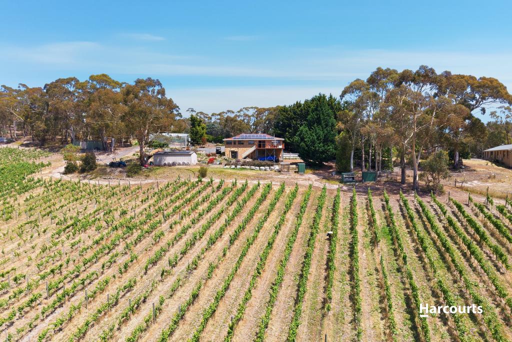 103 Centauri Dr, Mount Rumney, TAS 7170