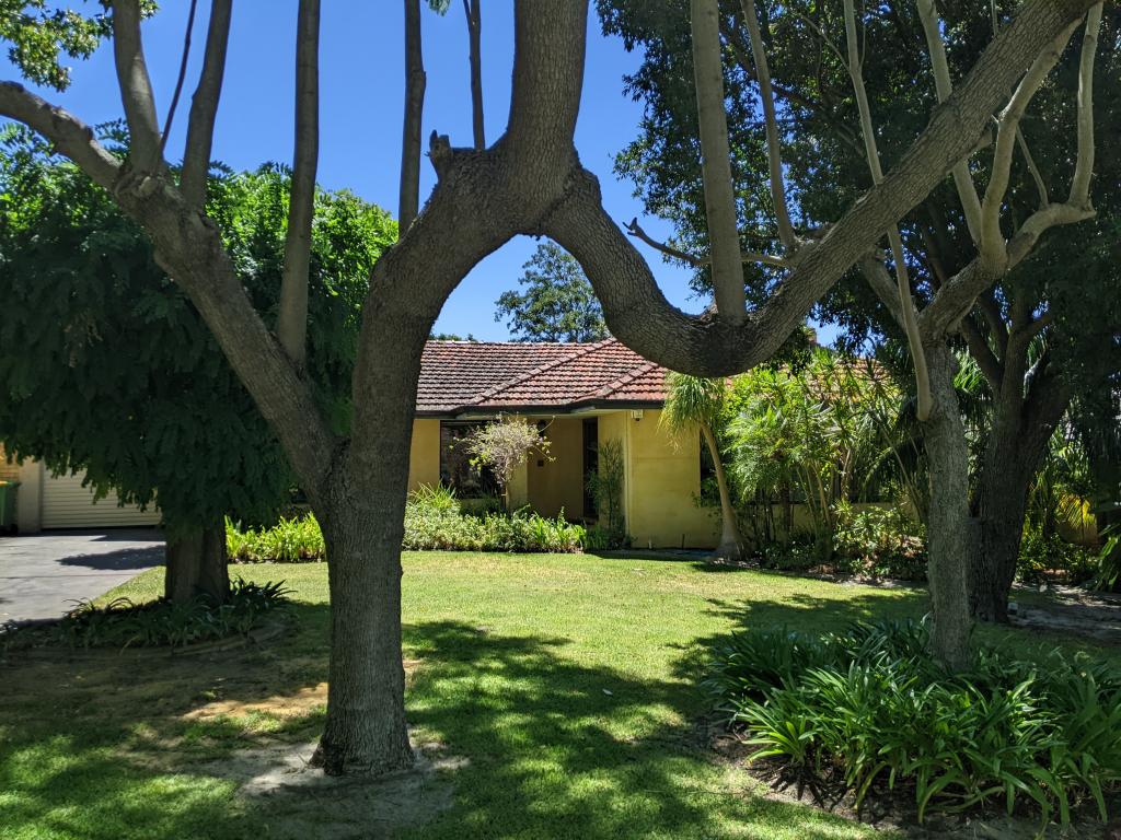 4 Polglass Way, Ardross, WA 6153