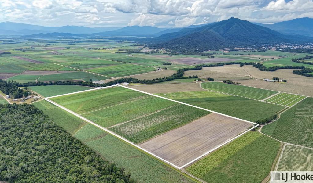 174 Dallachy Rd, Silky Oak, QLD 4854