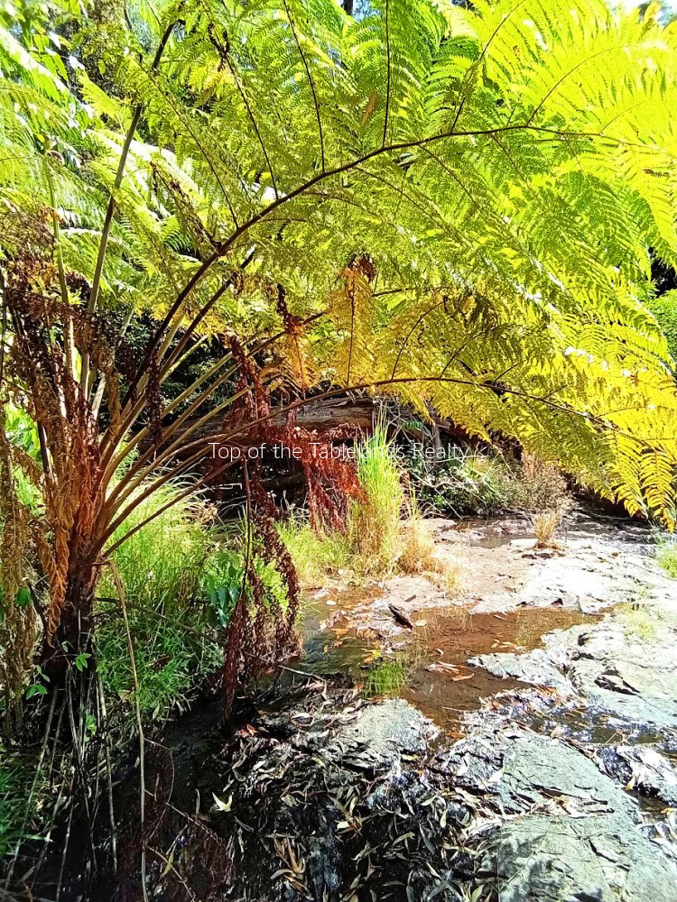 11551 Kennedy Hwy, Evelyn, QLD 4888