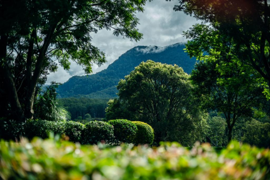 2165 Waterfall Way, Thora, NSW 2454