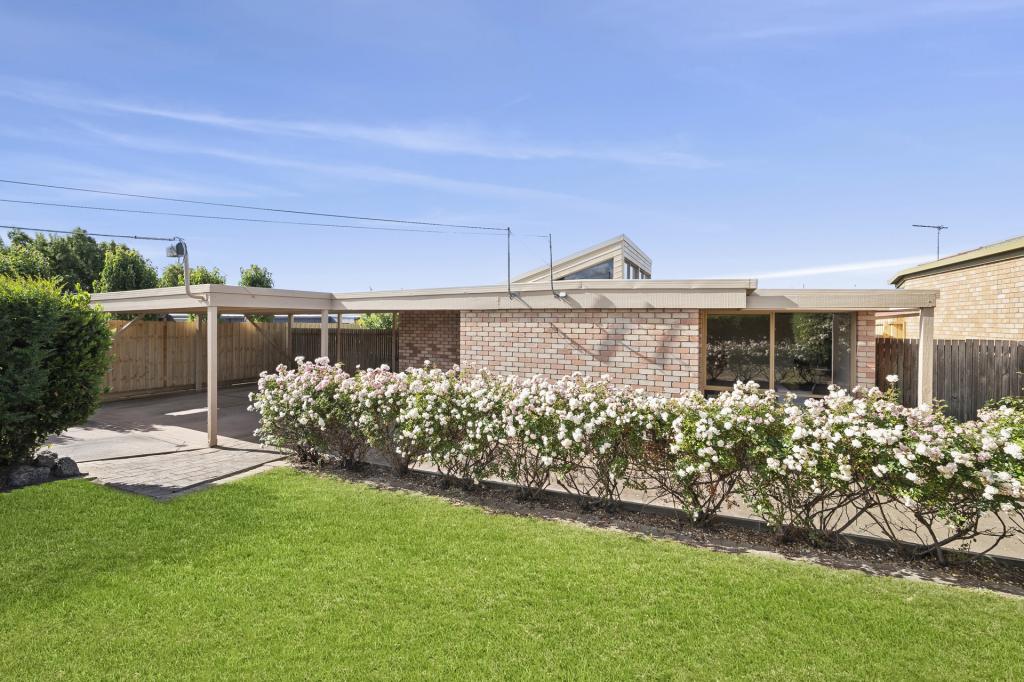 29 Colac Gr, Belmont, VIC 3216