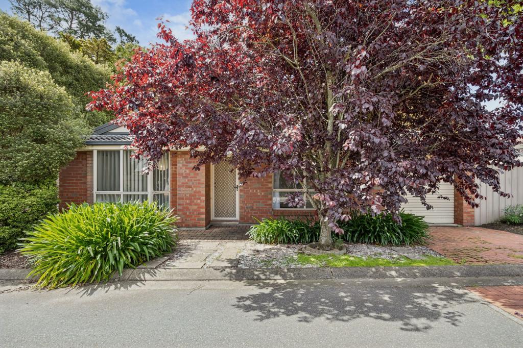 6/117 Main St, Lobethal, SA 5241