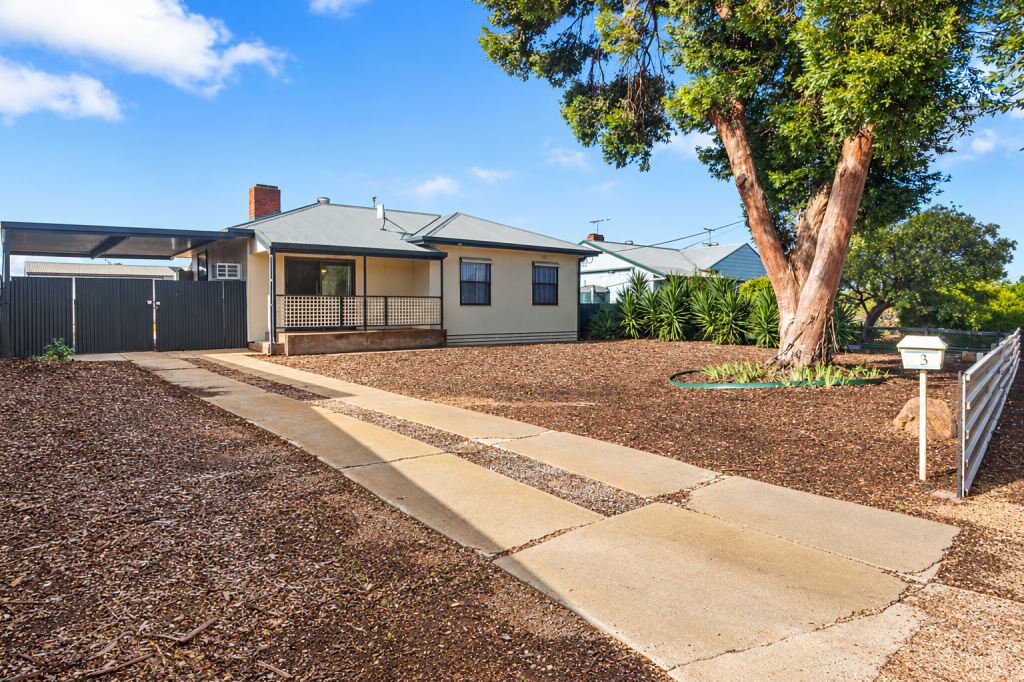 3 Lamshed St, Maitland, SA 5573