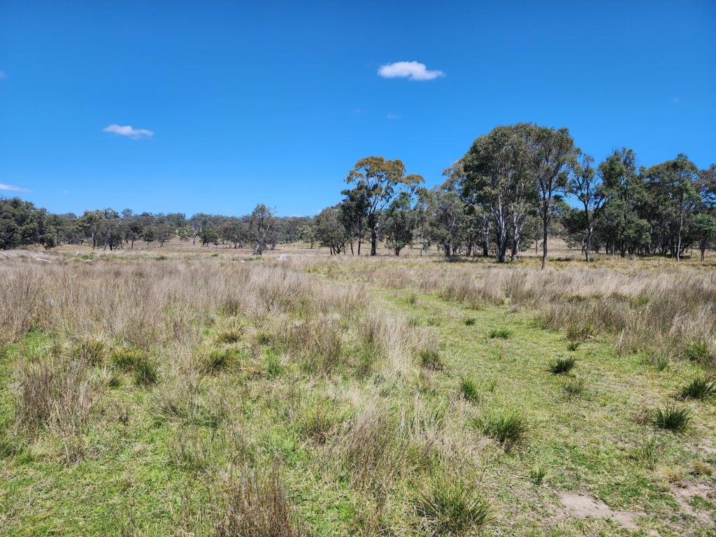 LOT 1 STANTHORPE INGLEWOOD ROAD, STANTHORPE, QLD 4380