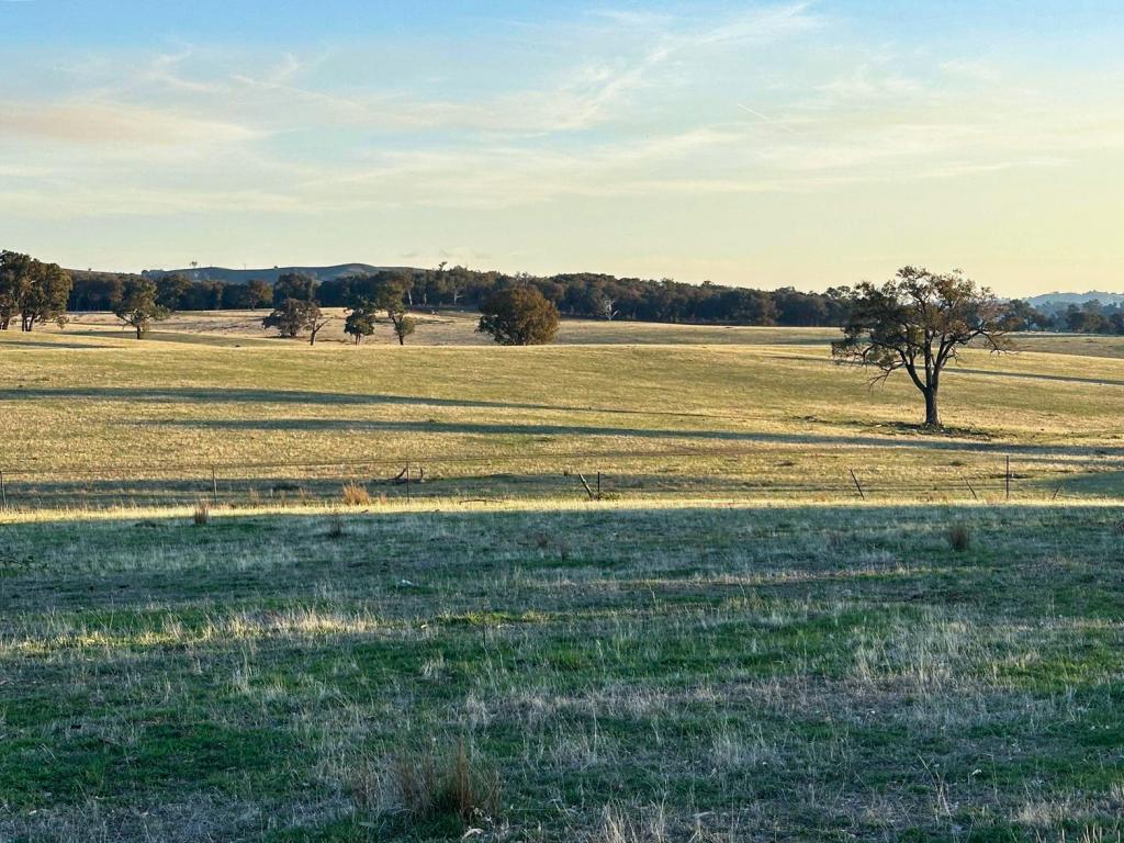 1277 Cheviot Hills Rd, Big Springs, NSW 2650