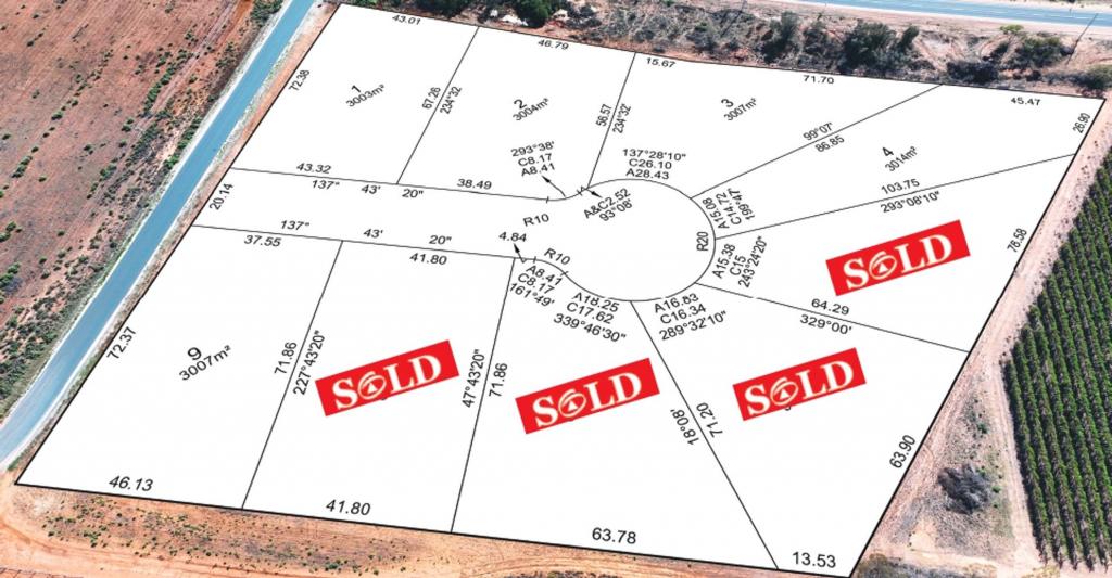 822 River Rd, Coomealla, NSW 2717