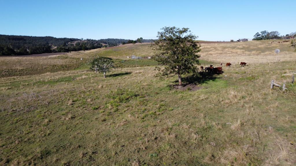 131 Leeses Rd, Doubtful Creek, NSW 2470