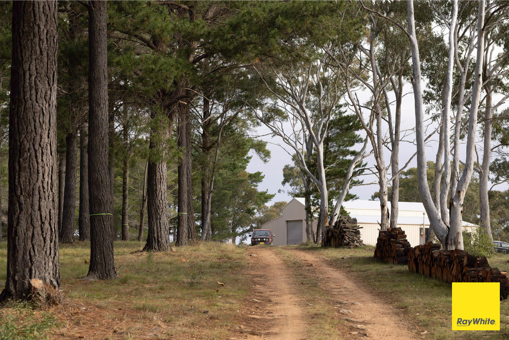 270 Pine Bank Dr, Lower Boro, NSW 2580