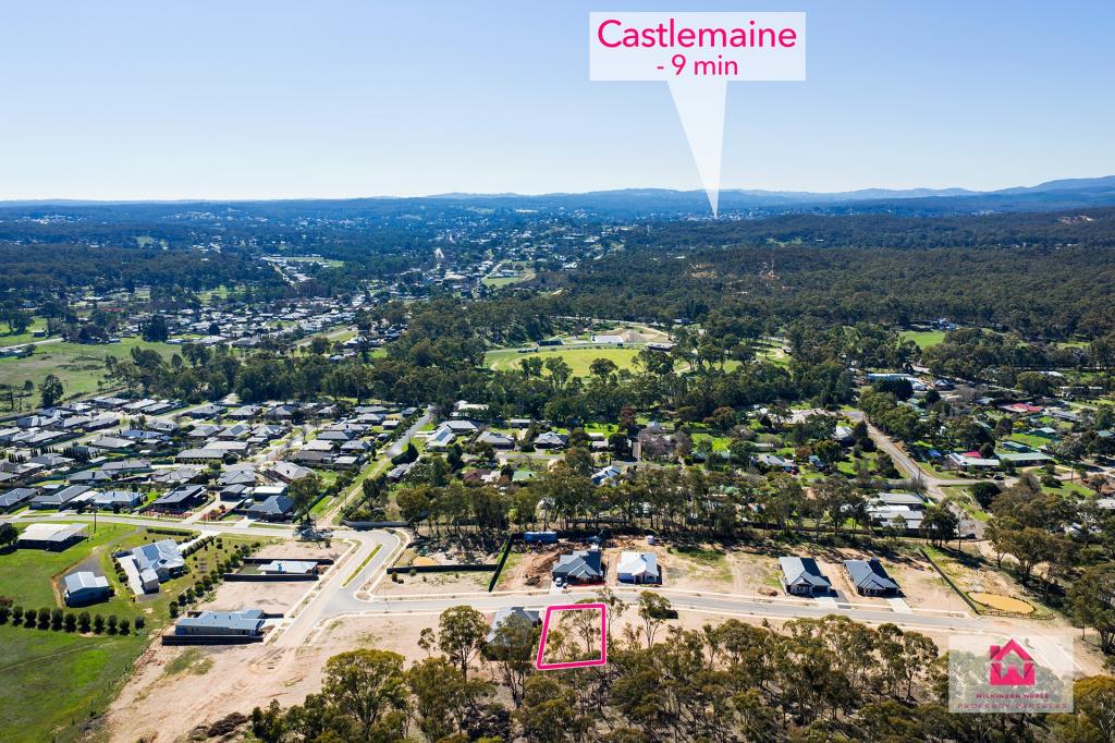 8 Protea Bvd, Campbells Creek, VIC 3451