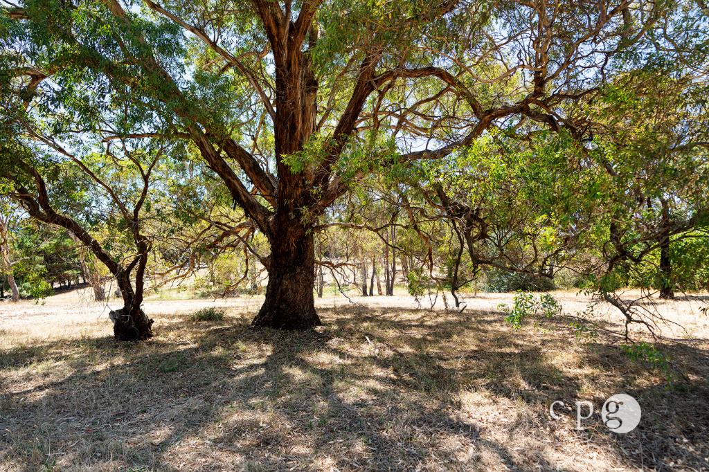 80 Mills Rd, Harcourt, VIC 3453