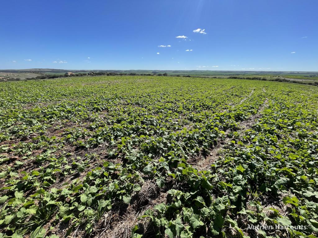 Lot 65 Forrester Rd, Mount Erin, WA 6532