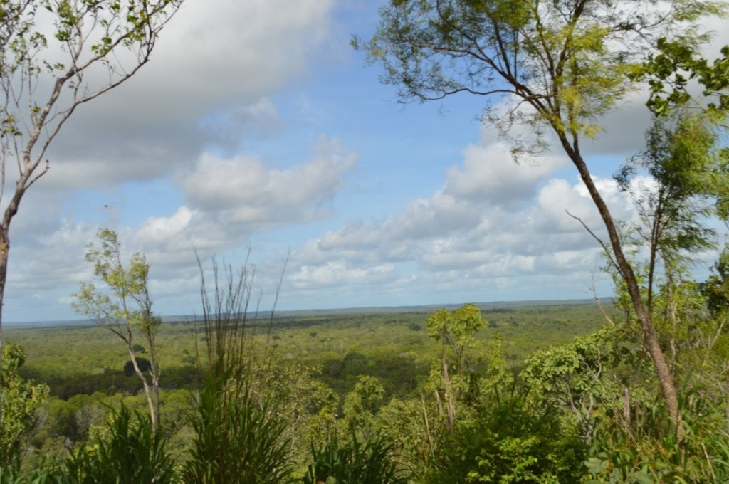 630 Miles Rd, Eva Valley, NT 0822