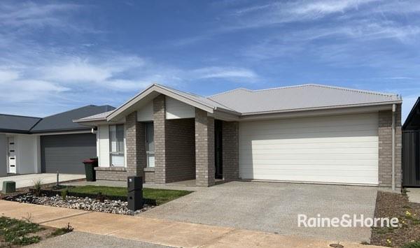 43 Hollow Dr, Andrews Farm, SA 5114