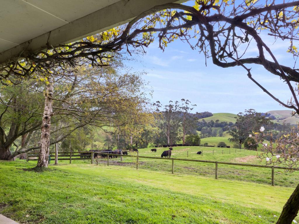 226 Wild Dog Road Strzelecki Via, Korumburra, VIC 3950