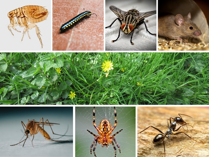 Contact Agent For Address, Adelaide, SA 5000