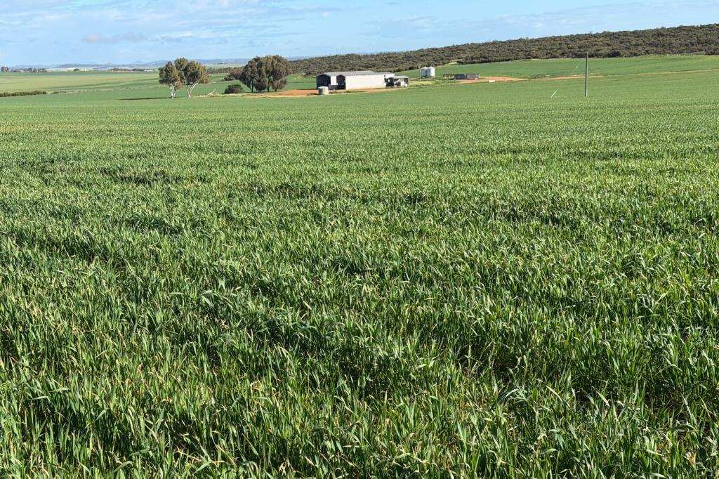 Lot 9683 Walkaway-Nangetty Rd, Ellendale, WA 6532