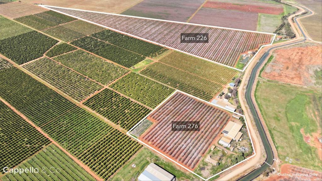 226 & 276 New Farms Rd, Nericon, NSW 2680
