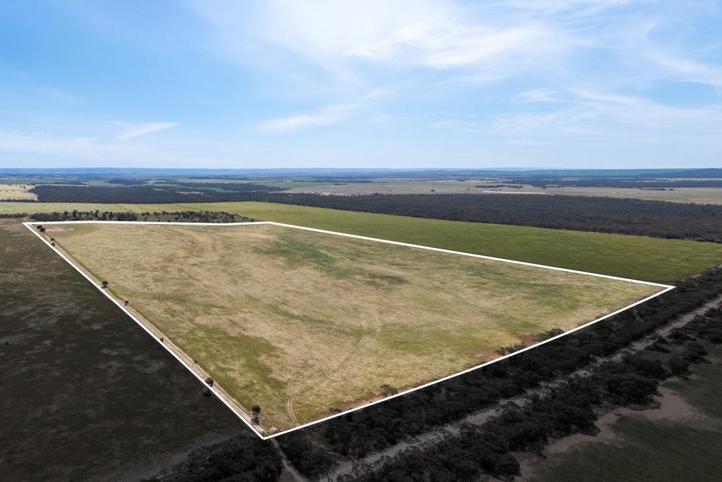 1681 Boundary Rd, Burdett, SA 5253