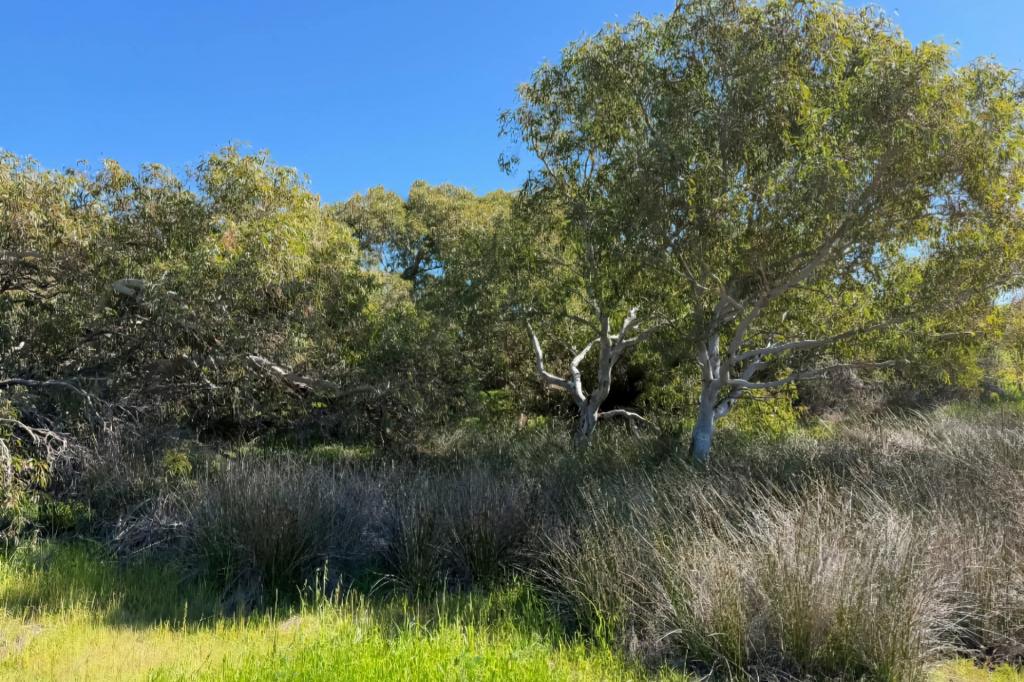 LOT 51 NORTHAMPTON PORT GREGORY RD, YALLABATHARRA, WA 6535