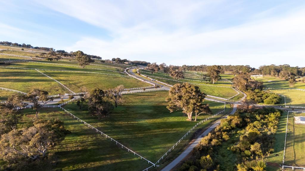 11 SNOWBALL CL, KALGAN, WA 6330