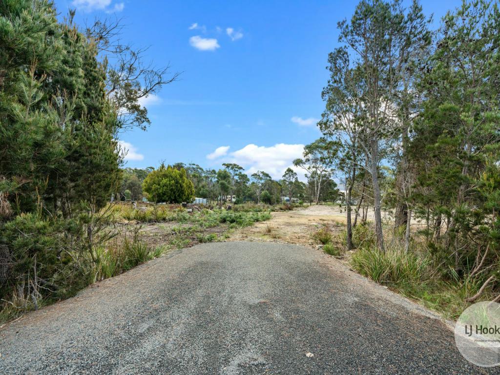 48 Skeggs Ave, White Beach, TAS 7184