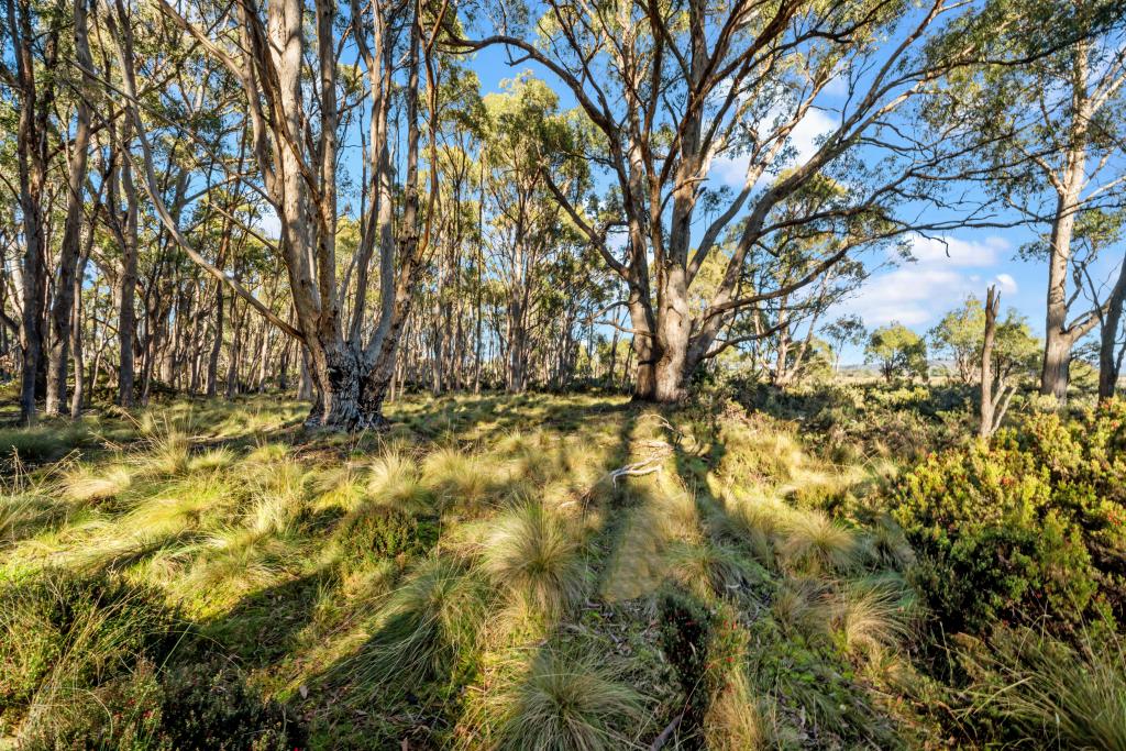 47 Woodwards Bay Rd, Bradys Lake, TAS 7140