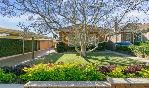 18 Halley Ave, Bexley, NSW 2207