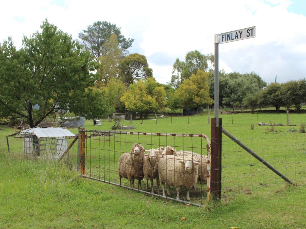 44 Finlay St, Glencoe, NSW 2365