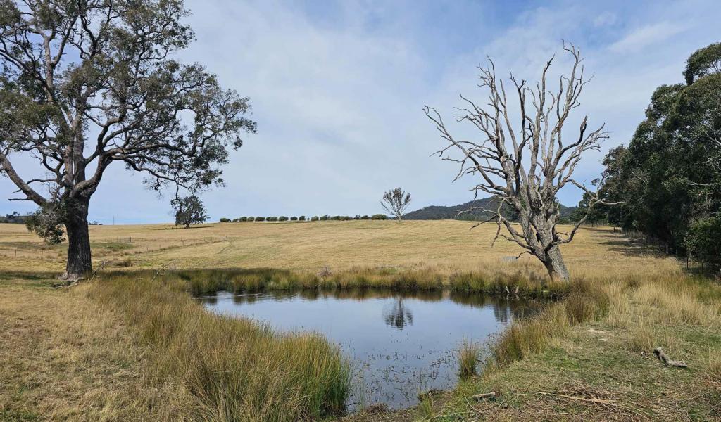 Lot 13 Dp1102840 Slaters Lane, Candelo, NSW 2550