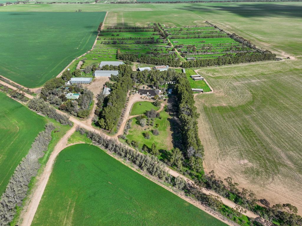 382 Rodda Rd, Boors Plain, SA 5554