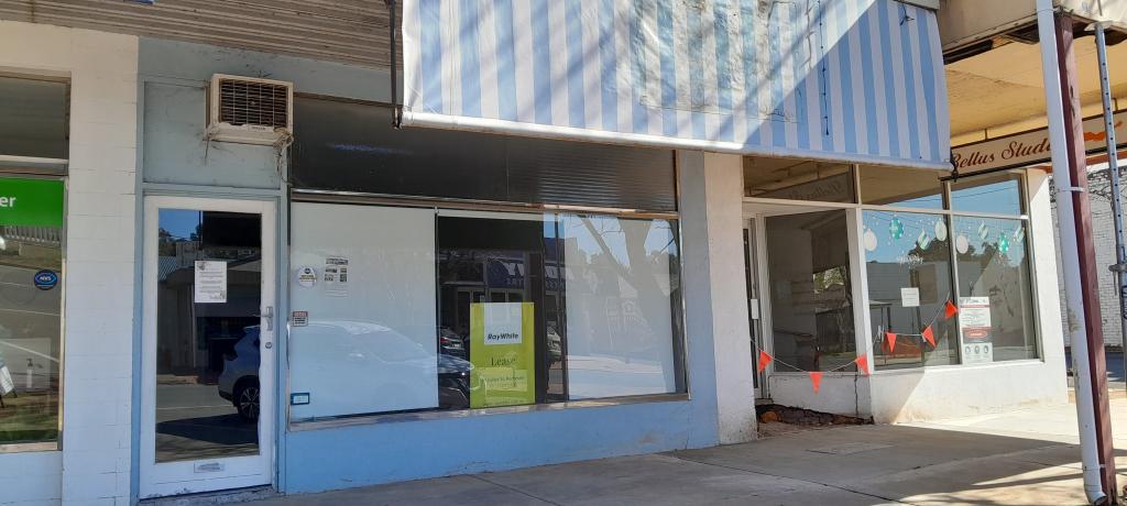 66 Mackay St, Rochester, VIC 3561