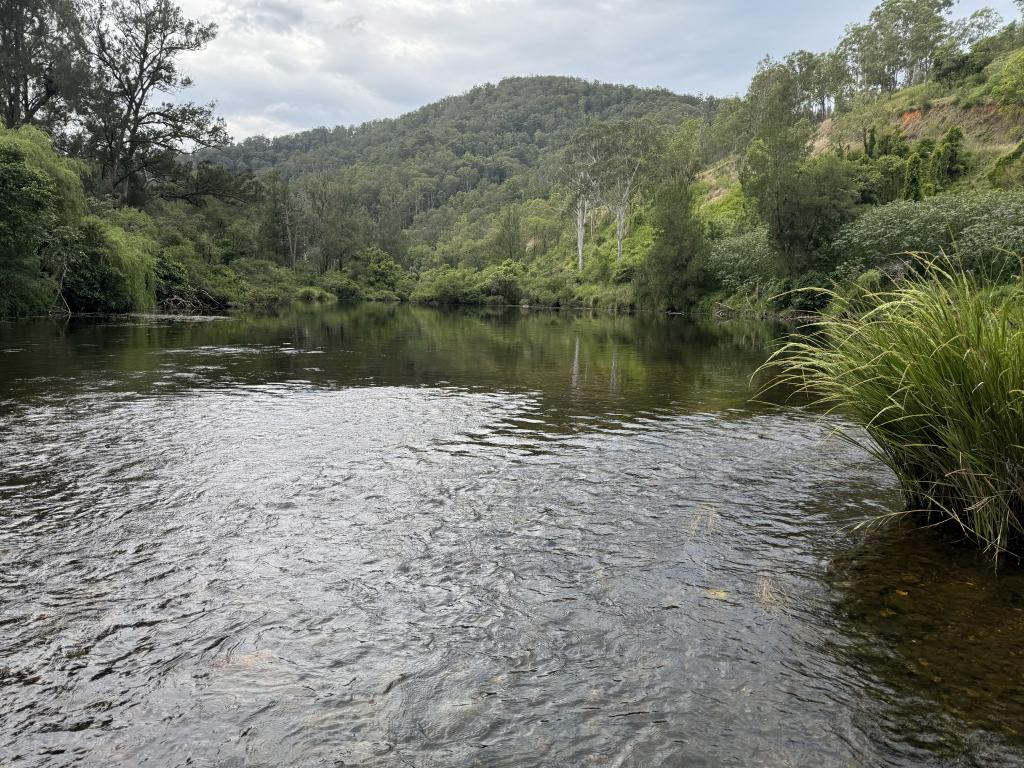 3461 Nowendoc Rd, Caffreys Flat, NSW 2424