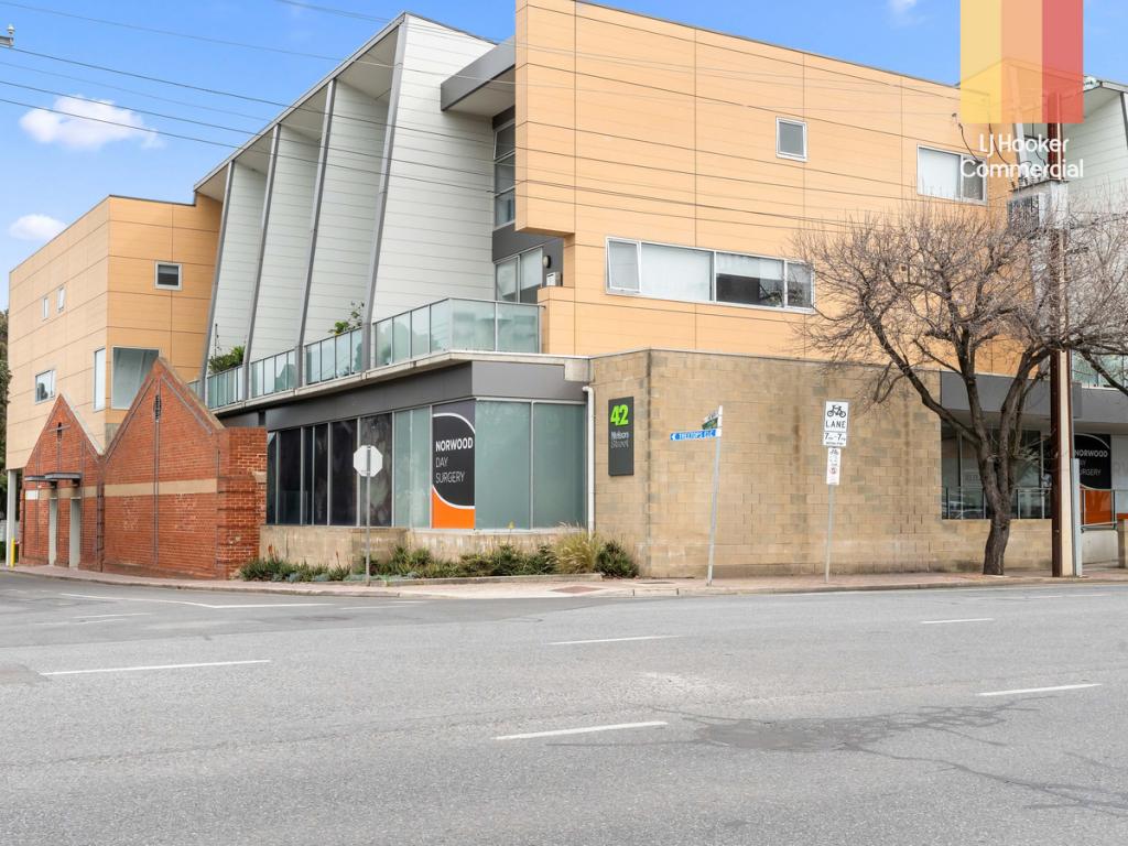 42 Nelson St, Stepney, SA 5069