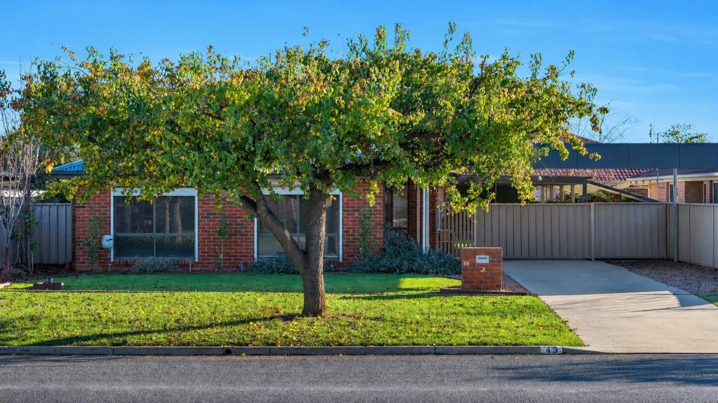 43 Hume St, Echuca, VIC 3564