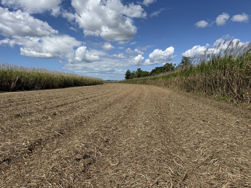 Contact Agent For Address, Euramo, QLD 4854
